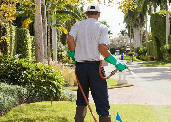 About Churchton MD Pest Control Pros
